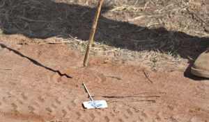 Track and Sign training at Limpopo Field Guiding Academy.