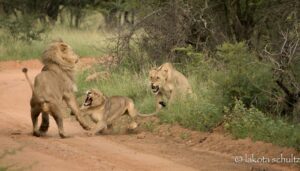 LFGA making the most of new location