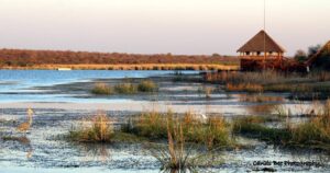 Twitcher’s Paradise