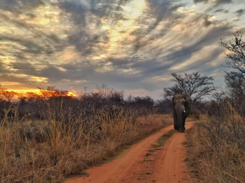 Stel jy belang in Natuuropleiding?