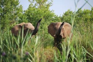 Student Diary – Amy Andree, Week 3