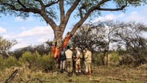 The Life of an Apprentice Field Guide at Limpopo Field Guiding Academy-Part 2
