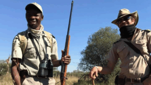 Meet our Staff – Part 2: Pioneer